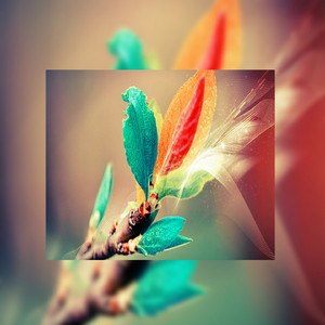 欧美波霸爆乳熟妇A片枪战
