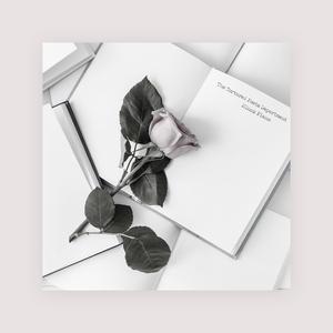 欧美波霸爆乳熟妇A片枪战
